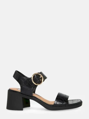 Subscribed Successfully