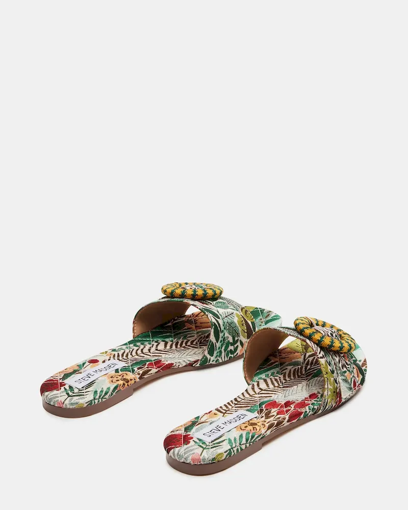 Subscribed Successfully - Image 6