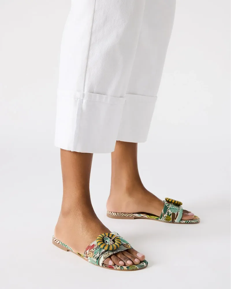 Subscribed Successfully - Image 2