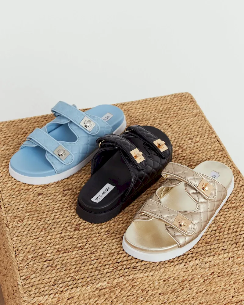 Subscribed Successfully - Image 6