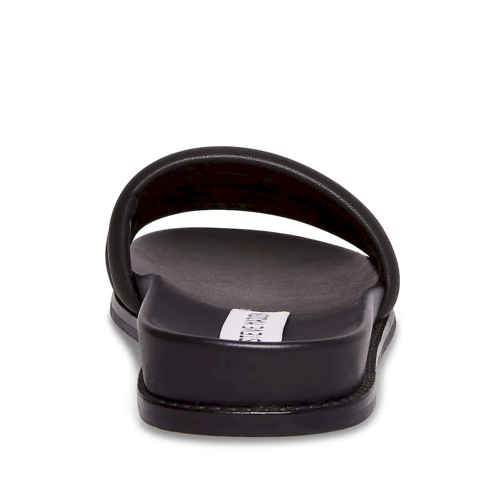 Subscribed Successfully - Image 5