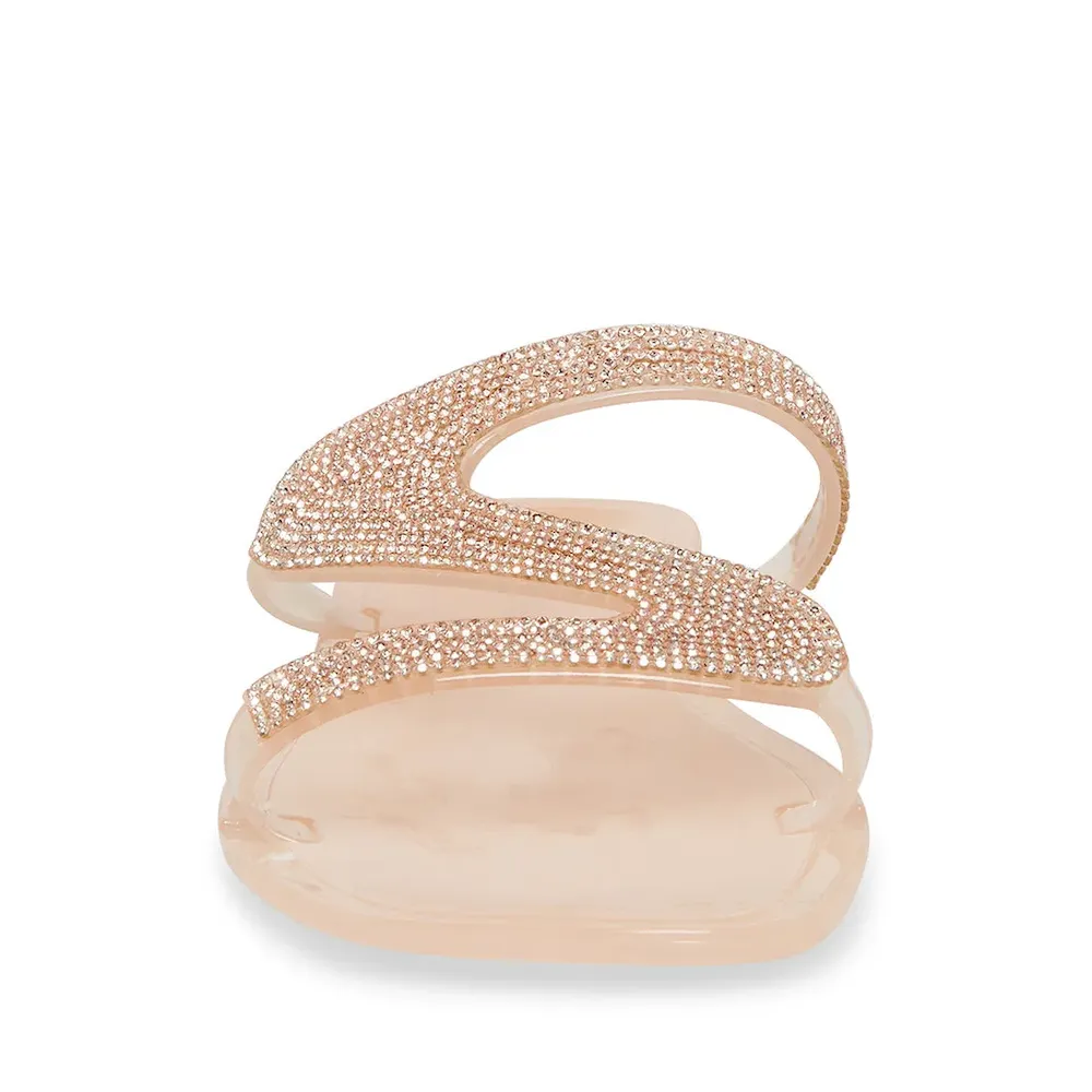 Subscribed Successfully - Image 2