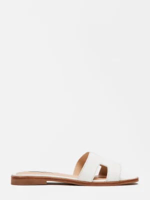 Subscribed Successfully