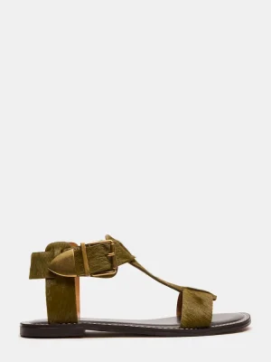 Brazinn Olive