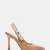 BLUSH PATENT