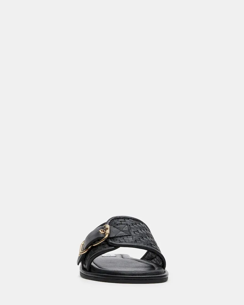 Subscribed Successfully - Image 3