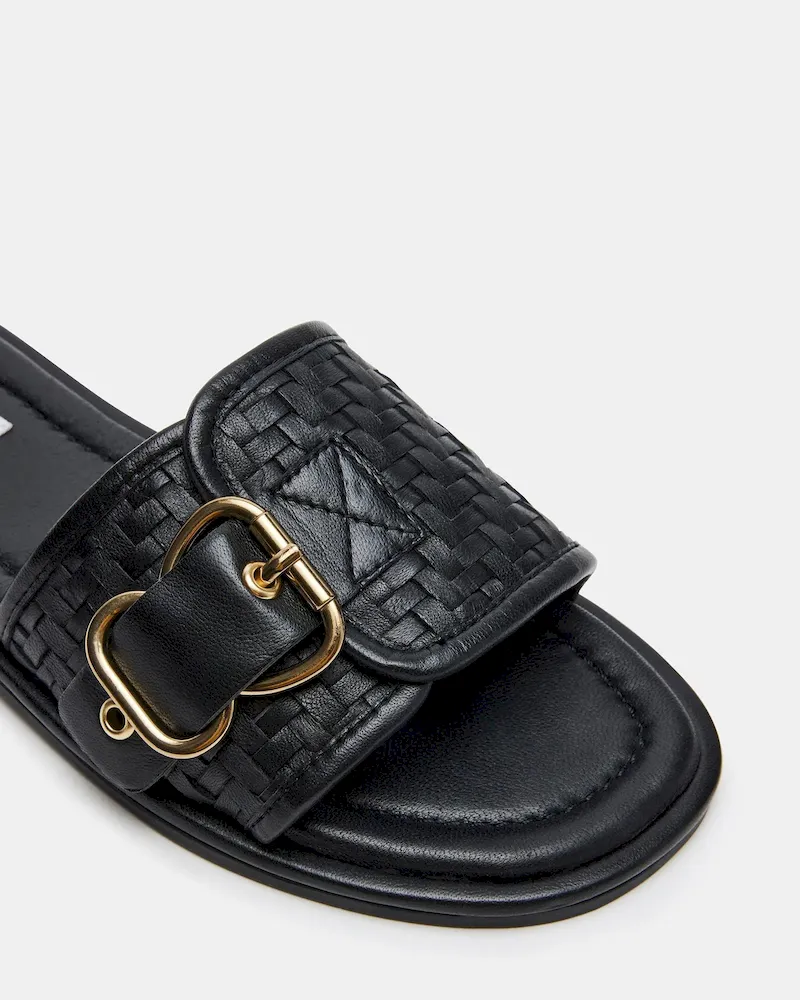 Subscribed Successfully - Image 4