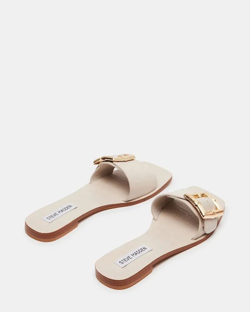 Subscribed Successfully - Image 6