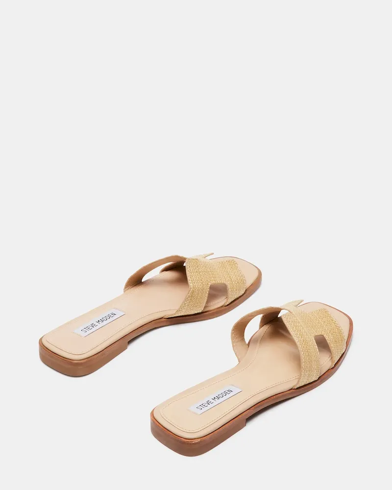 Subscribed Successfully - Image 6