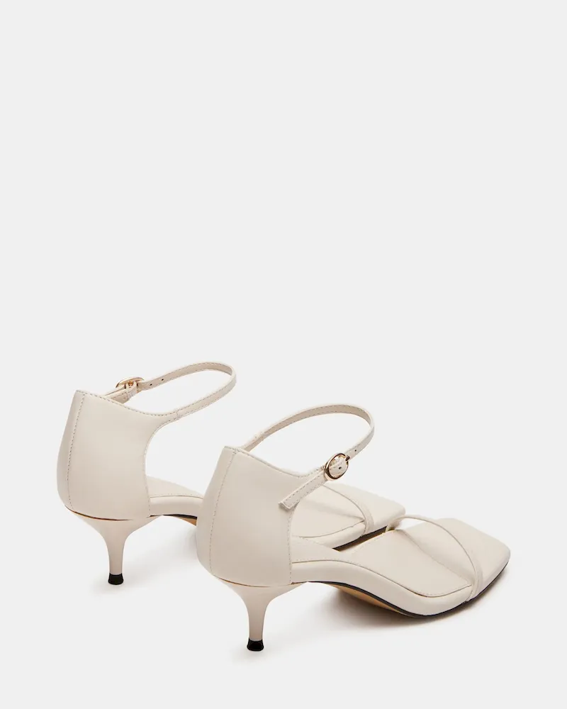 Subscribed Successfully - Image 5