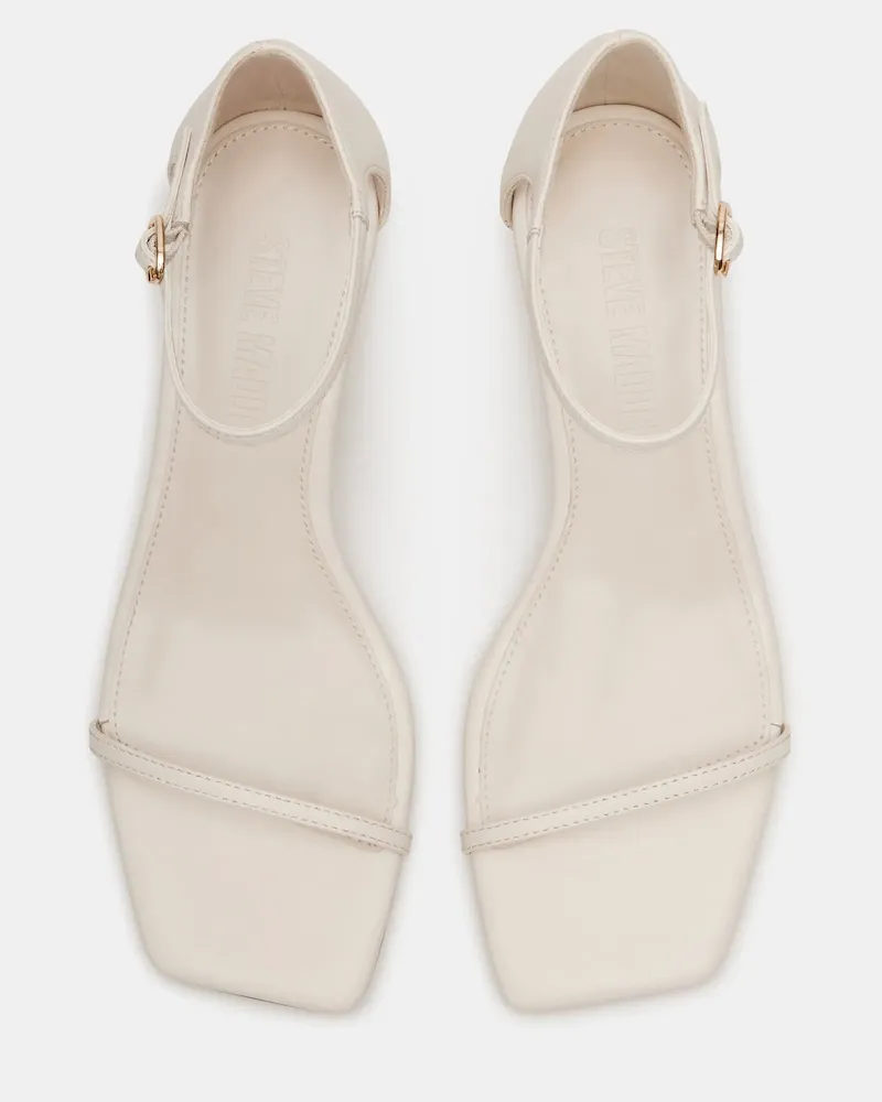 Subscribed Successfully - Image 4