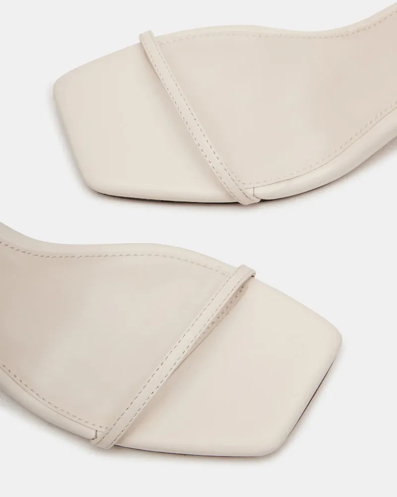 Subscribed Successfully - Image 3