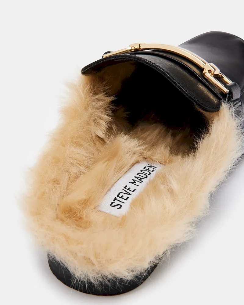 Subscribed Successfully - Image 7