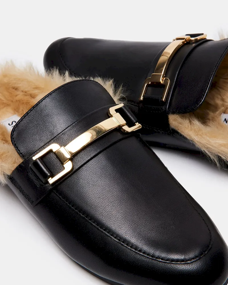 Subscribed Successfully - Image 5