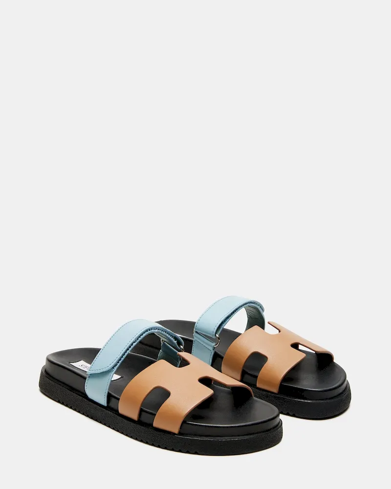 Subscribed Successfully - Image 3