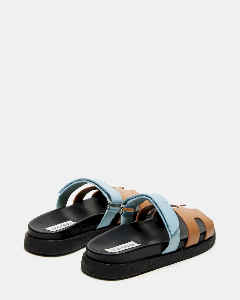 Subscribed Successfully - Image 6