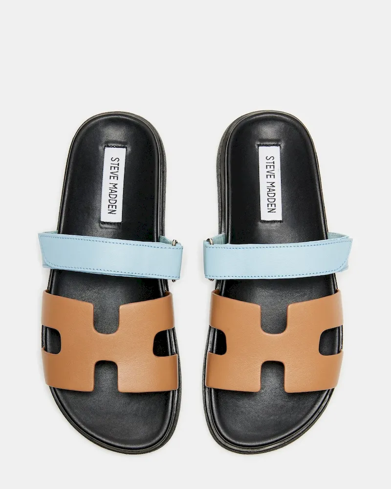 Subscribed Successfully - Image 5