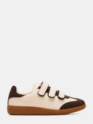 Momentum Brown Multi