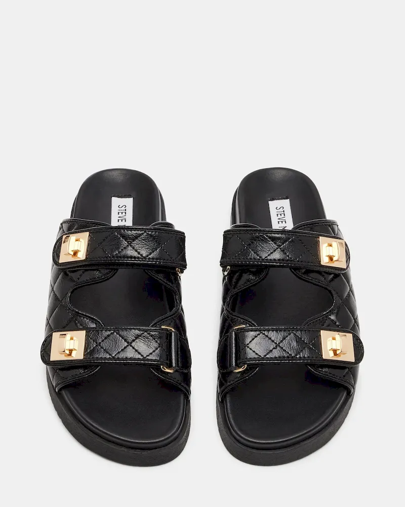 Subscribed Successfully - Image 4