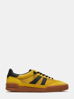 Verdict Black/yellow