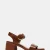 BROWN CROCODILE